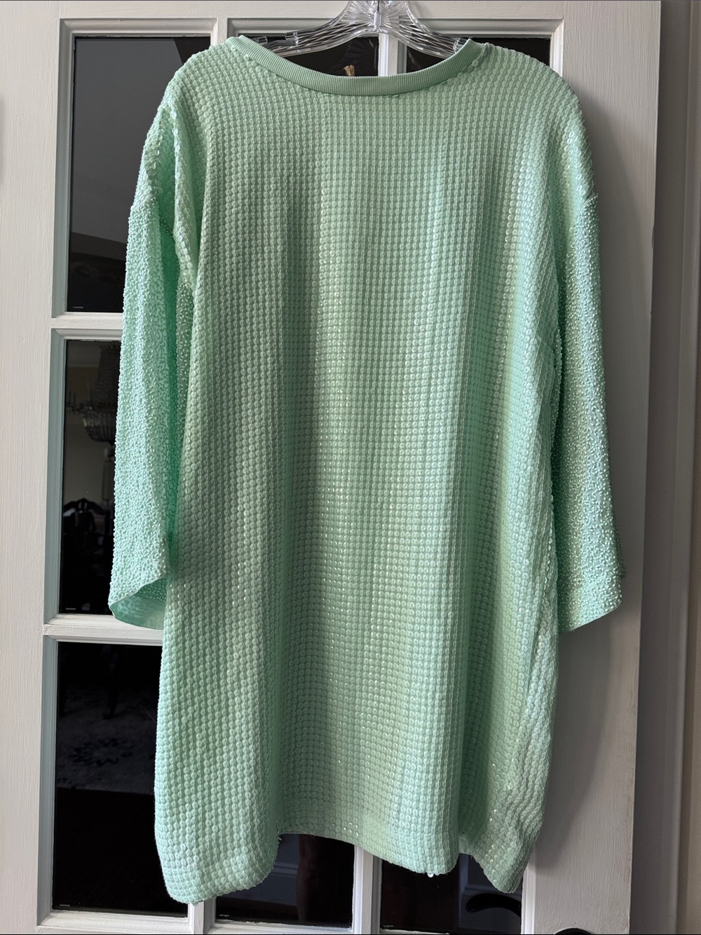 Anthropologie Light Mint Sequined Knit Tunic